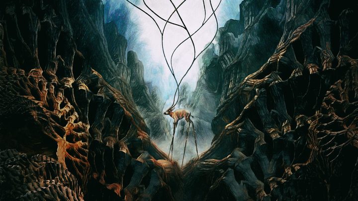 Mireplaner – February 2019